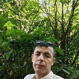 , 45, -