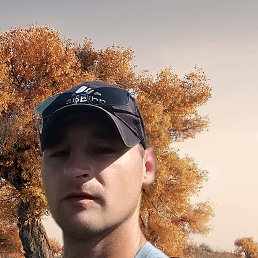 , 34, 