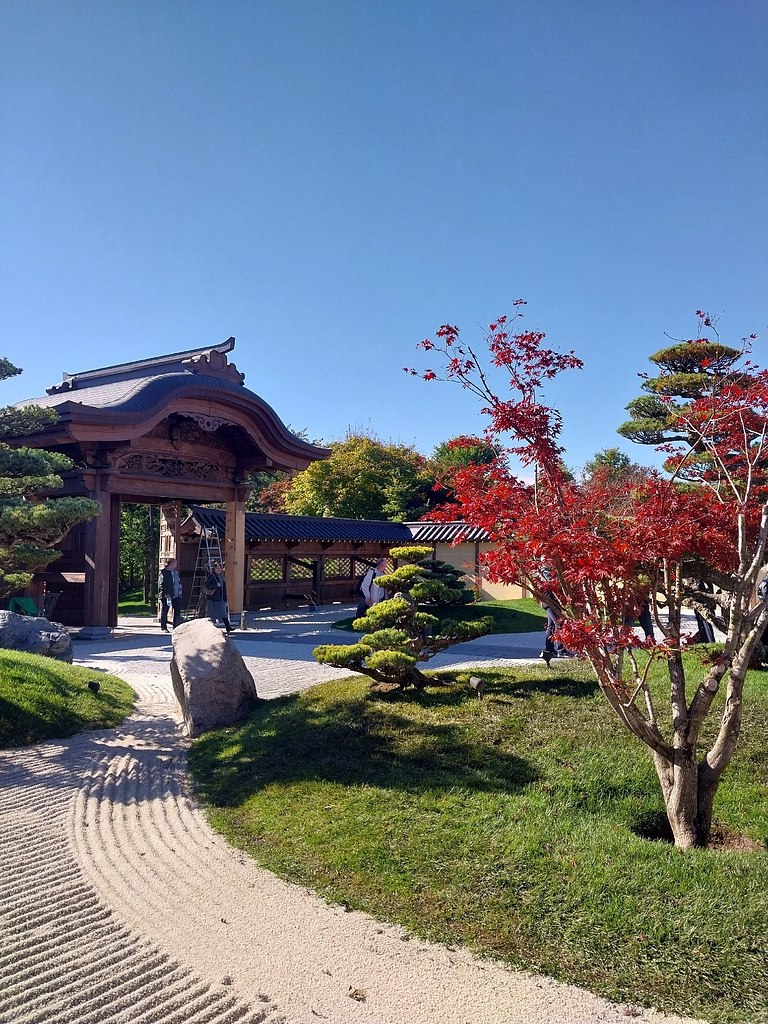 paca oce  oco ca  pacoape. - 3