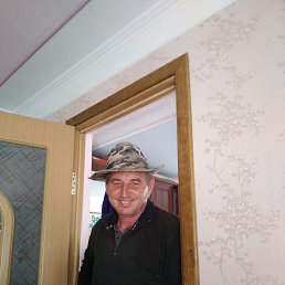 , 56, 