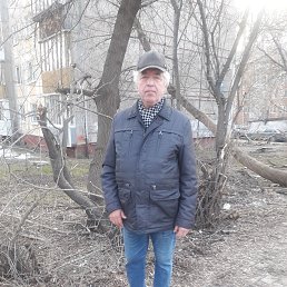 , 67, 