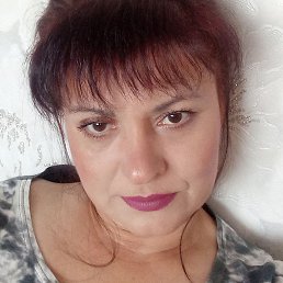 ����, �����������, 48 ���