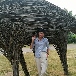 ���������, �����������, 44 ����