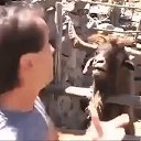 ���� ����, ������, 59 ��� - ��������� 12 ������ 2024 � ������ ���� ����������