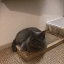 ������. ������ �������� ��� ������, ���������, �������. ���� ����� ������� ��� �����, ���������� � ����� ��� ��� �� ������ �������) �� ������, ������ � ����� ���������))) �� � ��� ����� :) ��� ���������� ������ � ��� ��� ����� :)