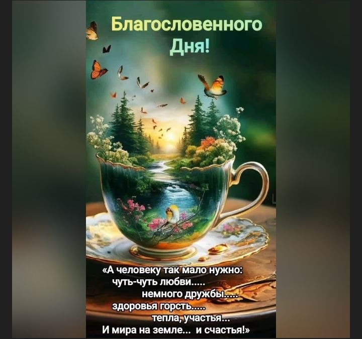   - 26  2025  12:35