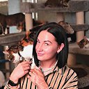 ���� �����, ��������, 36 ��� - ��������� 17 ����� 2025 � ������ ���� ����������