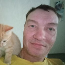 �������, �����������, 50 ���