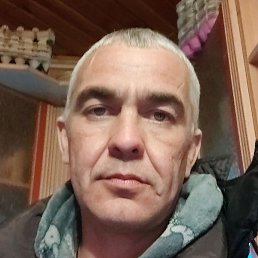 ������, ������, 41 ���