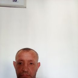 , 41 , 