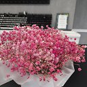 ���� ������, �����-��������� - ��������� 15 ������ 2024 � ������ ���� ����������