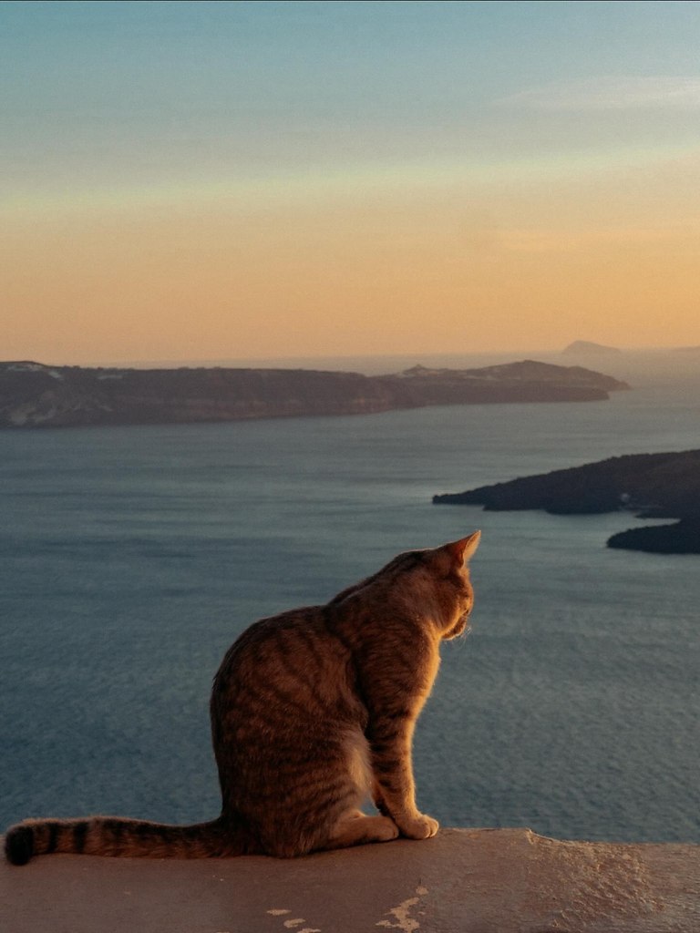 ������ �� ��������� ����� ���� ������ ����� - 3