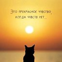 ���� �����, �����-��������� - ��������� 29 ���� 2025 � ������ ������ ��������