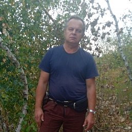 , 51, 