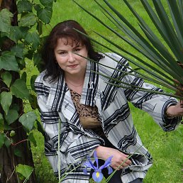 ���������, ��������, 63 ����