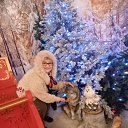 ���� �������, ������, 71 ��� - ��������� 29 ������ 2025 � ������ ���� ����������