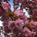 ���� �����, �������, 48 ��� - ��������� 25 ������� 2024 � ������ ���� ����������