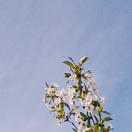 , , 36 