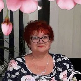 , , 66 