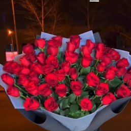 ���� ����, ��������, 53 ���� - ��������� 1 ������ 2026