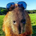 ���� �����, ���������, 25 ��� - ��������� 1 ���� 2024 � ������ ���� ����������