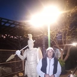 ���� ������, �����, 43 ���� - ��������� 13 ������ 2024