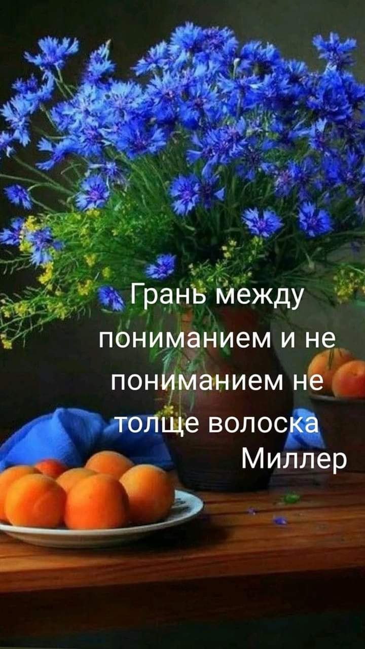  - 22  2024  13:35 - 3