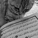  Aisha Mursatovna, , 28  -  4  2025