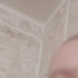 , , 43 