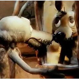 D_d, ���������