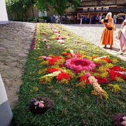 ���� Sergei, �����-���������, 41 ��� - ��������� 16 ����� 2024