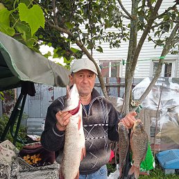 Фото Николай Андреев, Подольск, 64 года - добавлено 19 августа 2025