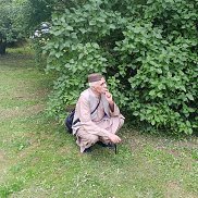 , 65 ,  