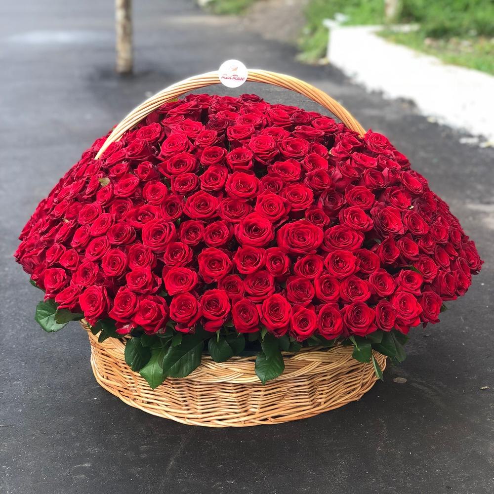     -   https://fotostrana.ru/away?to=/sl/PZ1
