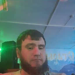 , 31, 