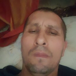 �������, �����-���������, 48 ���