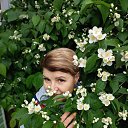 ���� ����, ������, 57 ��� - ��������� 23 ���� 2025 � ������ ���� ����������