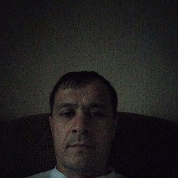 , 43, 