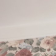 , 46 , 