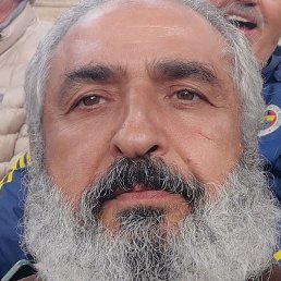 Levin, ������, 50 ���