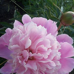 ���� �������, ��������, 59 ��� - ��������� 1 ������� 2026