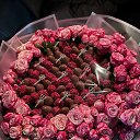 ���� ������, ������ - ��������� 11 ������ 2024 � ������ ���� ����������