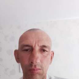 , 53 , 