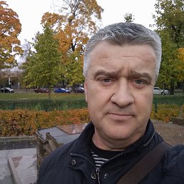 , 62 , -