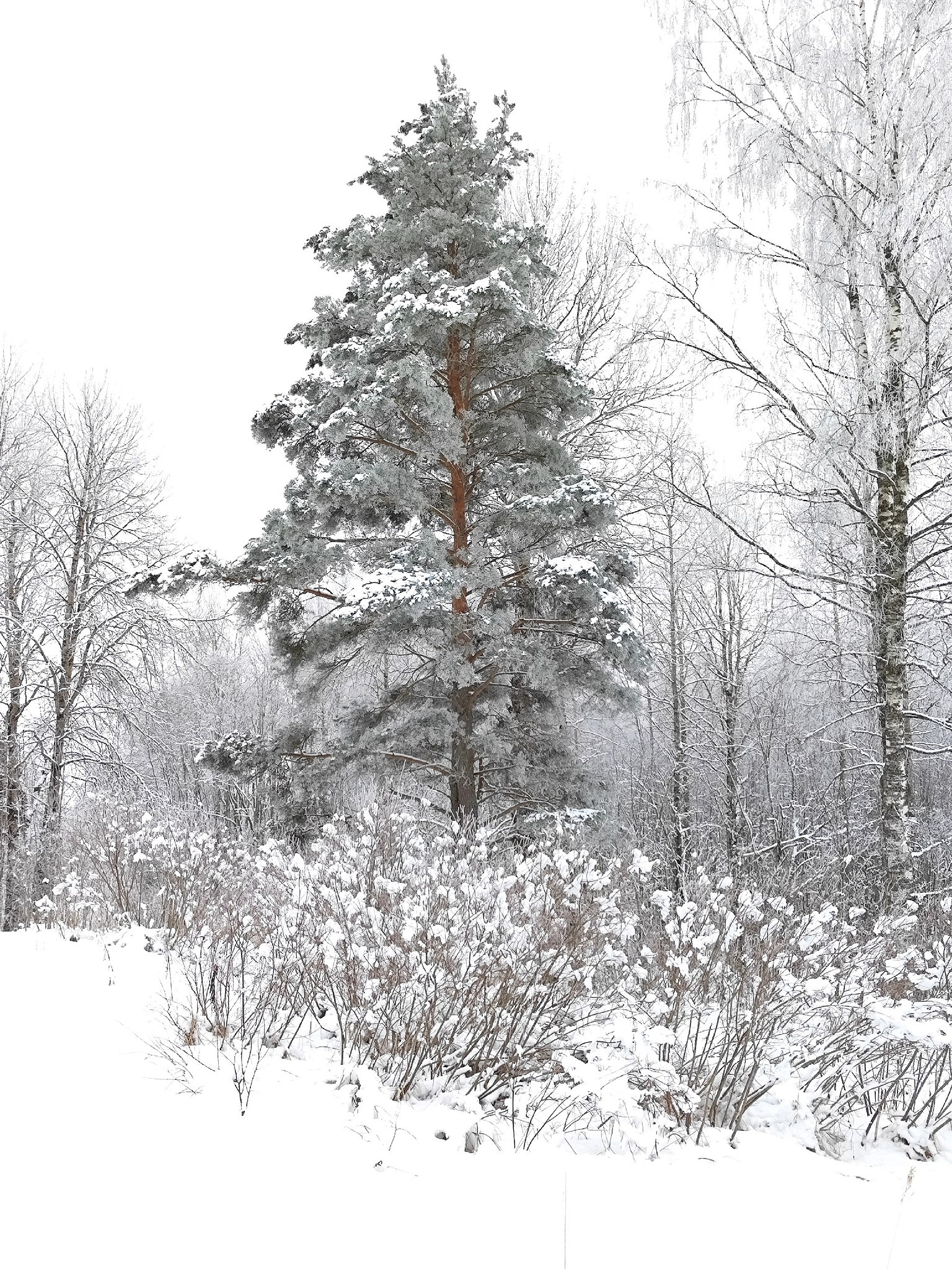   ! - 9