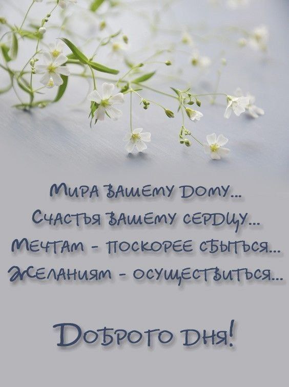   ,    . - 22  2025  13:36 - 2