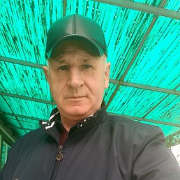 , 61, 
