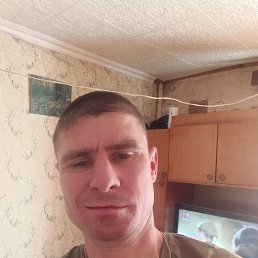 ���� ������, ���������, 41 ��� - ��������� 19 ����� 2024