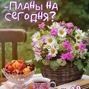 ���� ������, �������� - ��������� 29 ���� 2025 � ������ ������ ��������