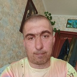 ���� Ufc ���, ����� - ��������� 31 ����� 2026